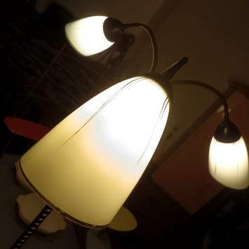 jaren 50 vloerlamp (2877)